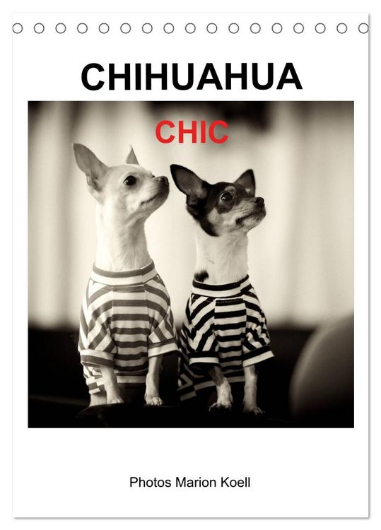Produktbild: CHIHUAHUA CHIC Photos Marion Koell (Tischkalender 2026 DIN A5 hoch), CALVENDO Monatskalender