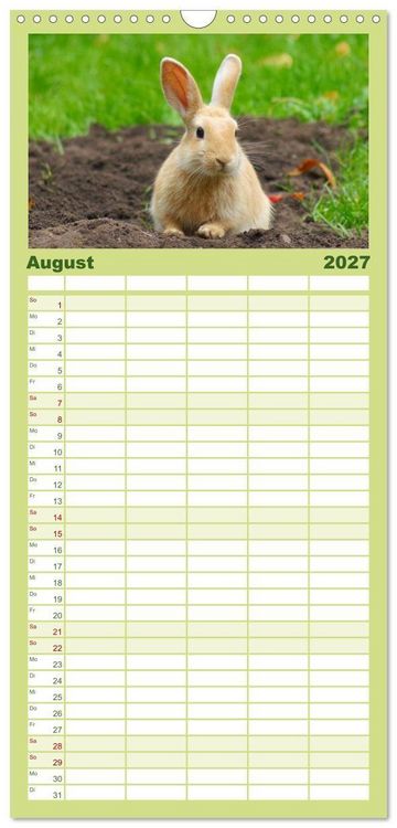 Produktbild: Familienplaner 2027 - Liebenswerte Zwergkaninchen mit 5 Spalten (Wandkalender, 21 x 45 cm) CALVENDO