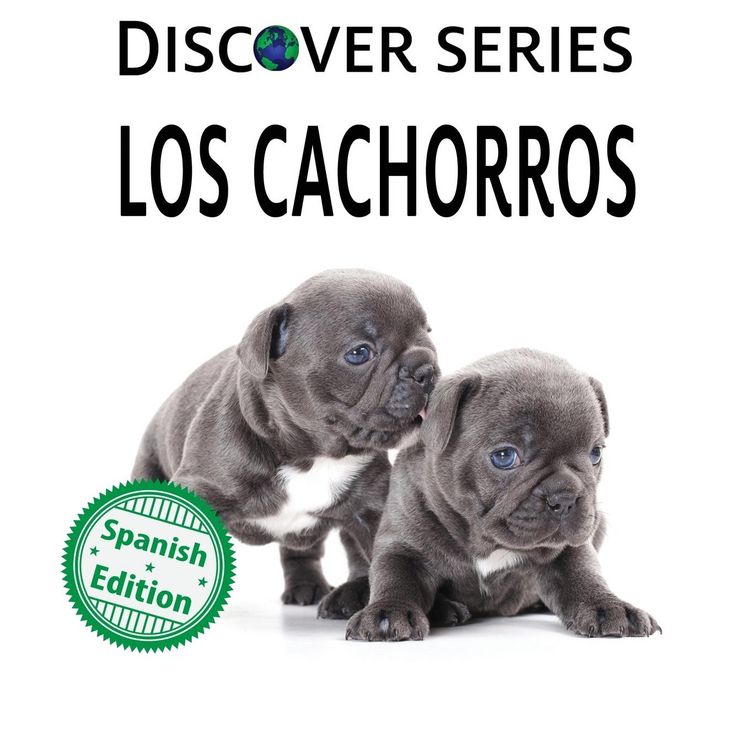 Produktbild: Los cachorros