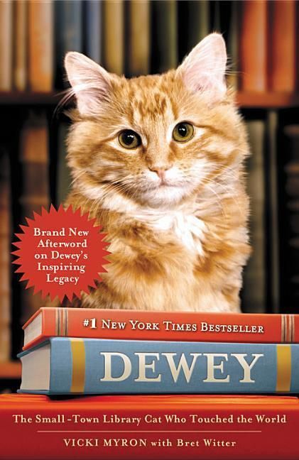 Produktbild: DEWEY