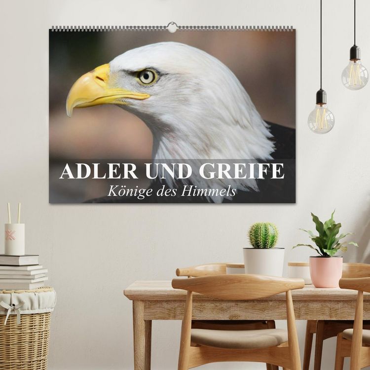 Produktbild: Adler und Greife - K&ouml;nige des Himmels (Wandkalender 2026 DIN A2 quer), CALVENDO Monatskalender