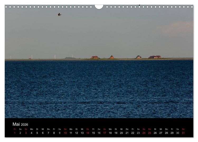 Produktbild: Pellworm 2026 (Wandkalender 2026 DIN A3 quer), CALVENDO Monatskalender