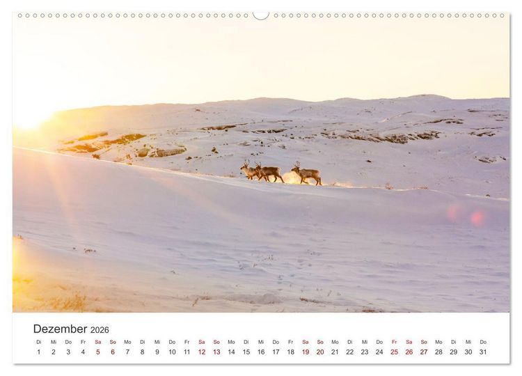 Produktbild: Zwischen den Eisbergen in Gr&ouml;nland (Wandkalender 2026 DIN A2 quer), CALVENDO Monatskalender