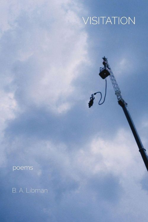 Produktbild: VISITATION