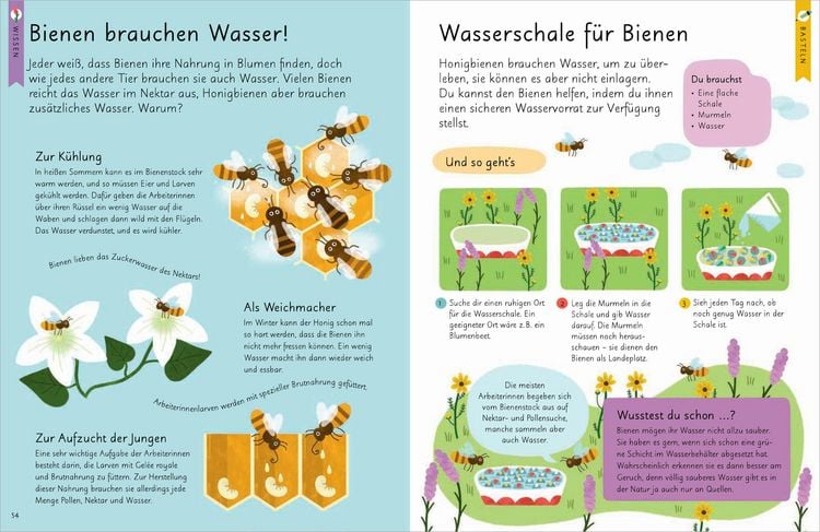 Produktbild: Kennst du die Natur? - Bienen. Das Aktiv- und Wissensbuch f&uuml;r Kinder ab 7 Jahren