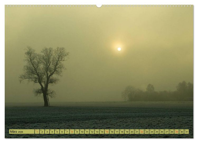 Produktbild: B&auml;ume sind Tr&auml;ume (hochwertiger Premium Wandkalender 2026 DIN A2 quer), Kunstdruck in Hochglanz
