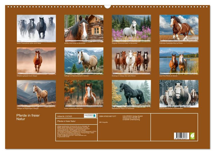 Produktbild: Pferde in freier Natur (Wandkalender 2026 DIN A2 quer), CALVENDO Monatskalender