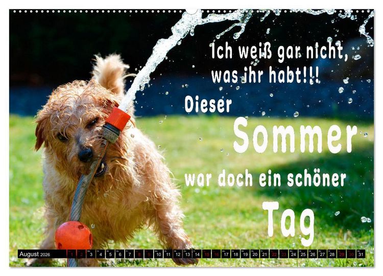 Produktbild: Spruchreif - Gute-Laune-Kalender (hochwertiger Premium Wandkalender 2026 DIN A2 quer), Kunstdruck in Hochglanz