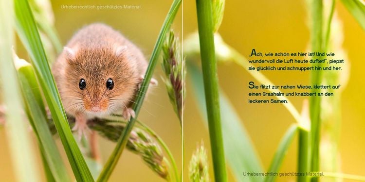Produktbild: Guten Morgen, kleine Maus!