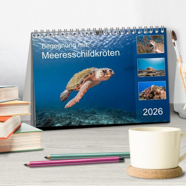 Produktbild: Begegnung mit Meeresschildkr&ouml;ten (Tischkalender 2026 DIN A5 quer), CALVENDO Monatskalender