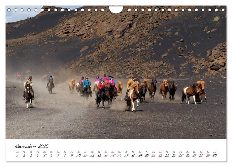 Produktbild: Islandpferde take it Isi (Wandkalender 2026 DIN A4 quer), CALVENDO Monatskalender