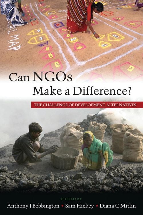 Produktbild: Can NGOs Make a Difference?