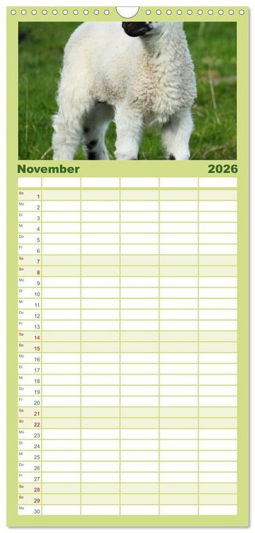 Produktbild: Familienplaner 2026 - Schafe mit 5 Spalten (Wandkalender, 21 x 45 cm) CALVENDO