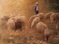 Produktbild: CALVENDO Puzzle Hirte und Herde | 1000 Teile Lege-Gr&ouml;&szlig;e 64x48cm Foto-Puzzle f&uuml;r gl&uuml;ckliche Stunden