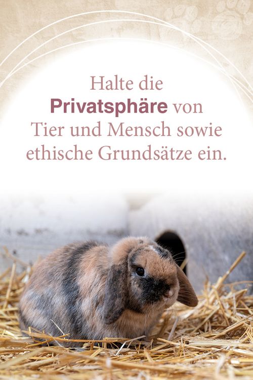 Produktbild: Mit Tieren kommunizieren