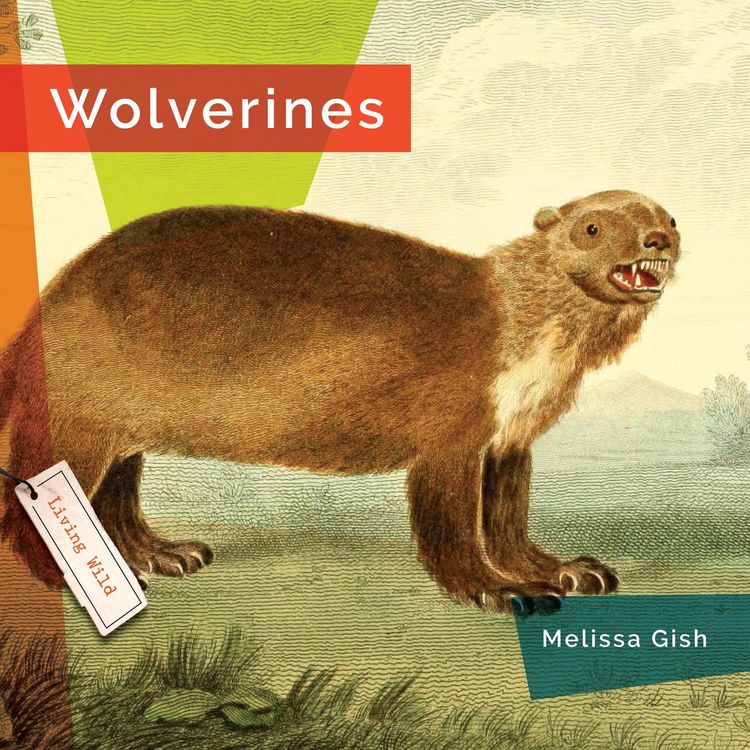 Produktbild: Wolverines