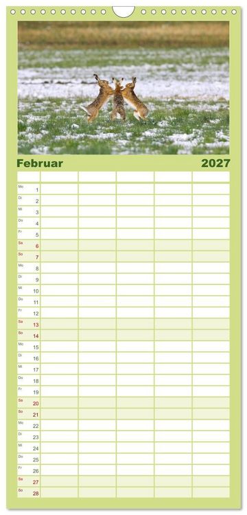 Produktbild: Familienplaner 2027 - Feldhasen in H&ouml;chstform mit 5 Spalten (Wandkalender, 21 x 45 cm) CALVENDO
