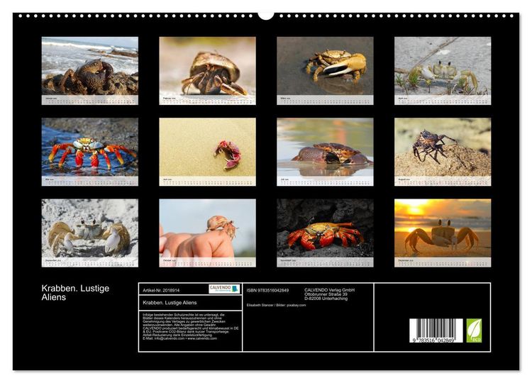 Produktbild: Krabben. Lustige Aliens (hochwertiger Premium Wandkalender 2026 DIN A2 quer), Kunstdruck in Hochglanz