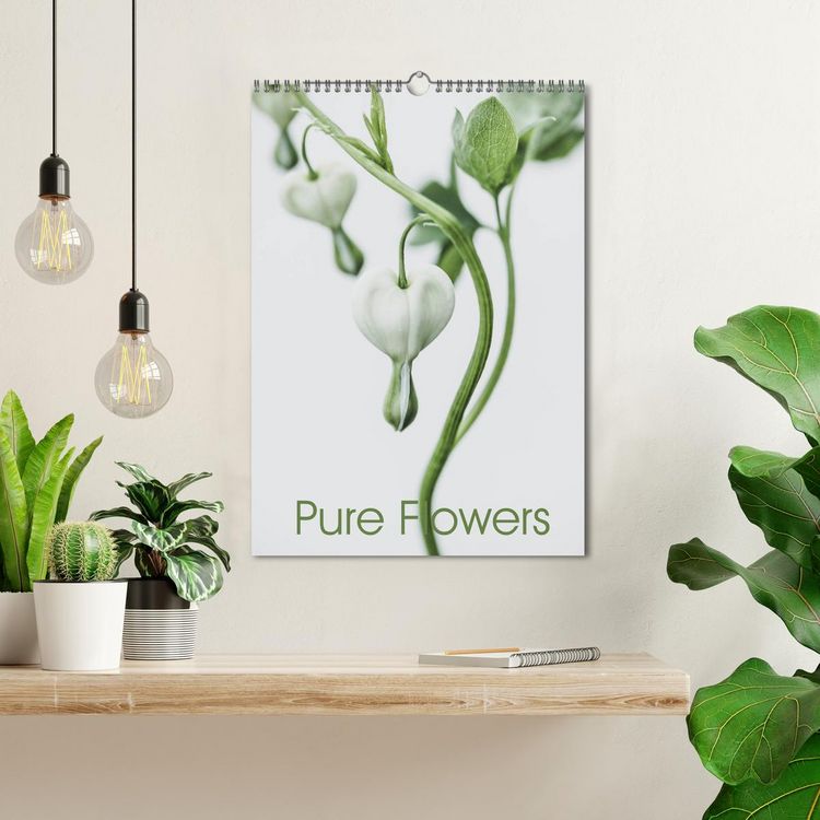 Produktbild: Pure Flowers (Wandkalender 2026 DIN A3 hoch), CALVENDO Monatskalender