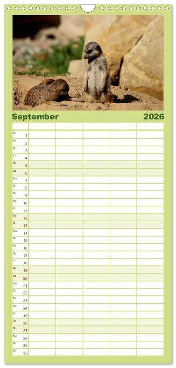 Produktbild: Familienplaner 2026 - Erdm&auml;nnchen mit 5 Spalten (Wandkalender, 21 x 45 cm) CALVENDO