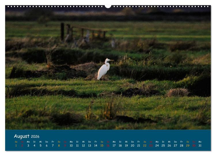 Produktbild: Naturschutzgebiet W&uuml;mme (Wandkalender 2026 DIN A2 quer), CALVENDO Monatskalender