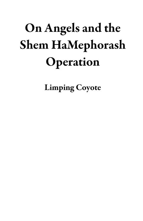 Produktbild: On Angels and the Shem HaMephorash Operation