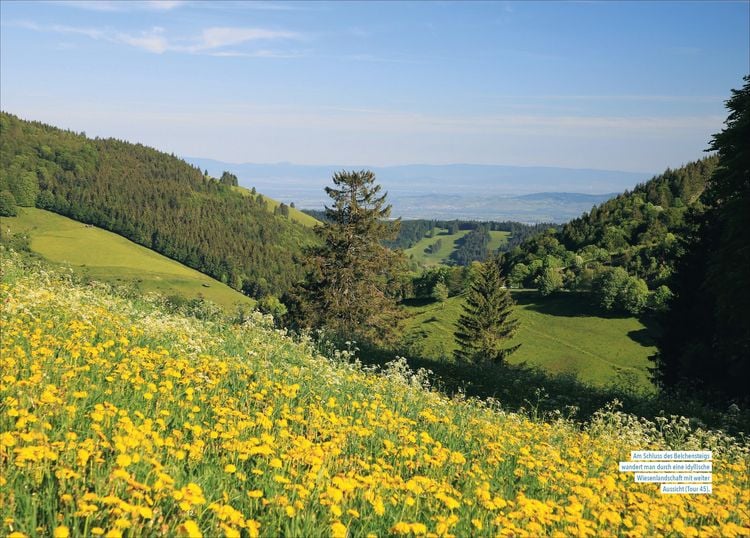 Produktbild: Wanderparadies Schwarzwald