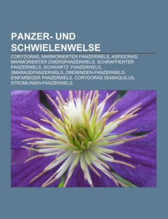 Produktbild: Panzer- und Schwielenwelse