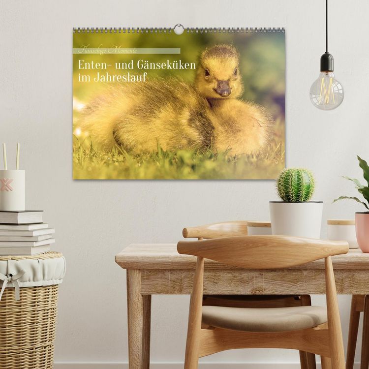 Produktbild: Flauschige Momente! Enten- und G&auml;nsek&uuml;ken im Jahreslauf (Wandkalender 2026 DIN A3 quer), CALVENDO Monatskalender
