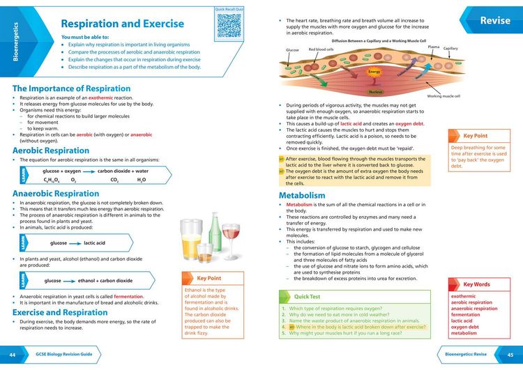 Produktbild: AQA GCSE 9-1 BIOLOGY_GCSE GRAD