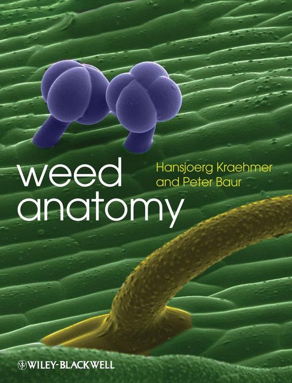 Produktbild: Weed Anatomy
