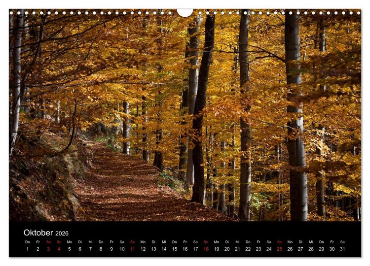 Produktbild: Harz-Bilder (Wandkalender 2026 DIN A3 quer), CALVENDO Monatskalender
