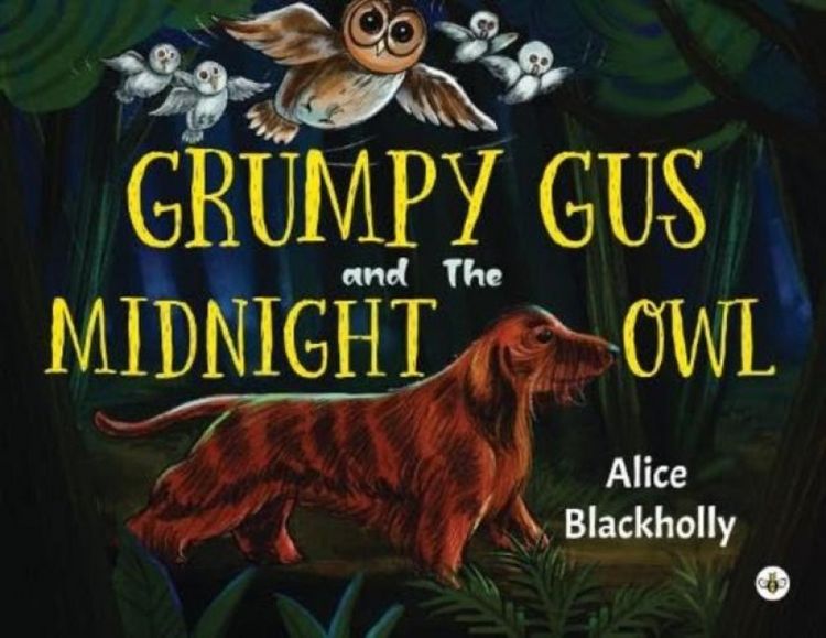 Produktbild: Grumpy Gus and The Midnight Owl