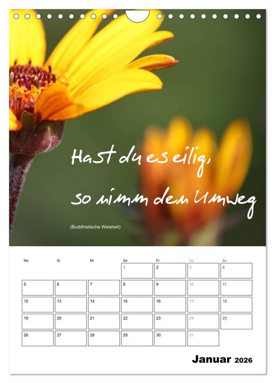 Produktbild: Spr&uuml;che und Weisheiten f&uuml;r&acute; s Jahr (Wandkalender 2026 DIN A4 hoch), CALVENDO Monatskalender