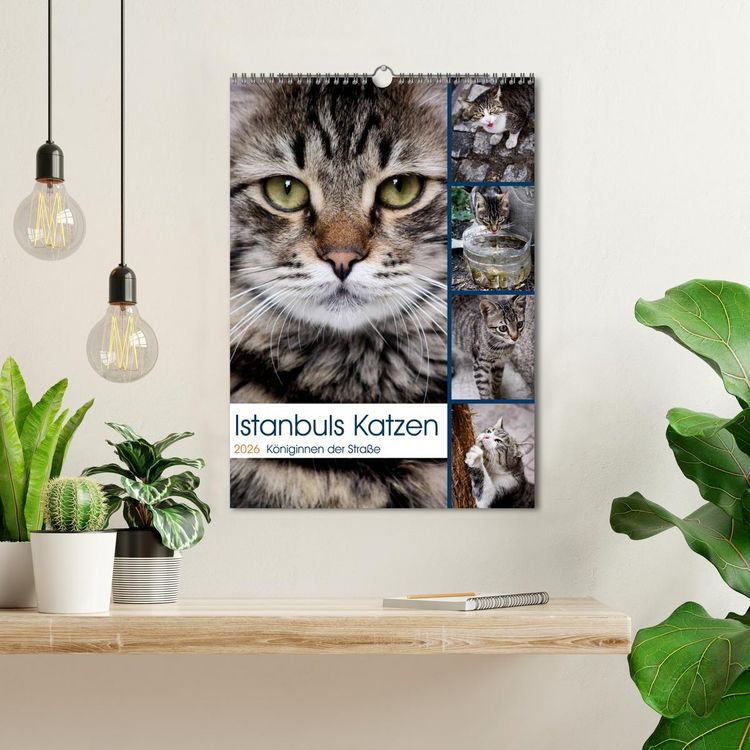 Produktbild: Istanbuls Katzen (Wandkalender 2026 DIN A3 hoch), CALVENDO Monatskalender
