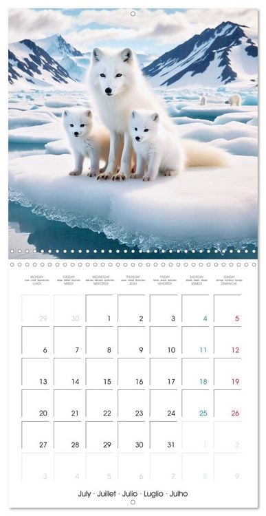 Produktbild: Animals of Arctic (Wall Calendar 2026 12 &times; 12 Inch) CALVENDO 12 Month Wall Calendar