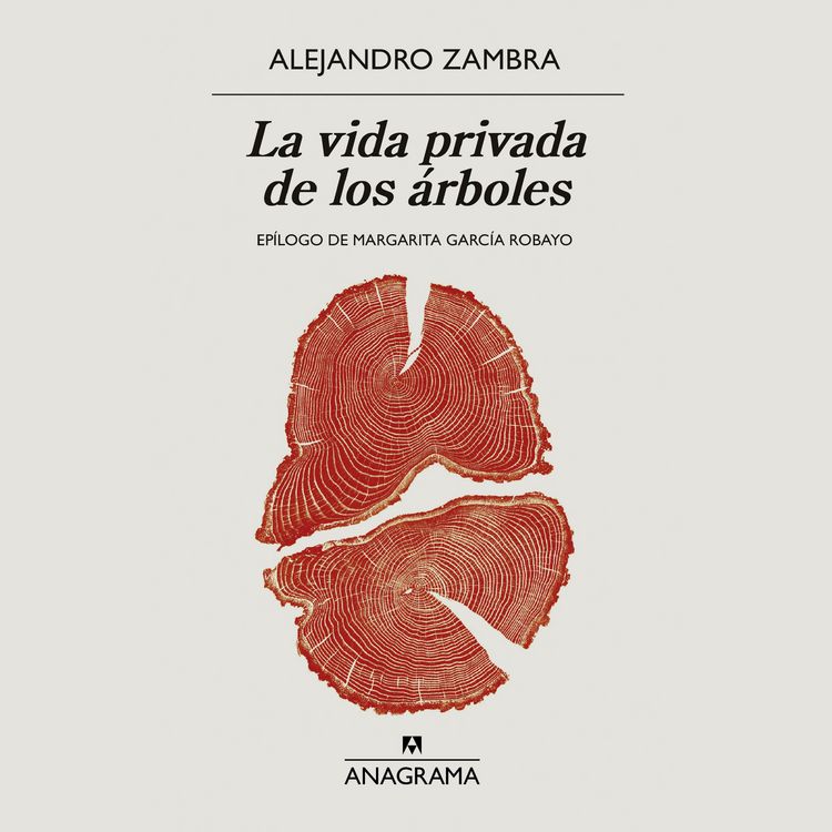 Produktbild: La vida privada de los &aacute;rboles