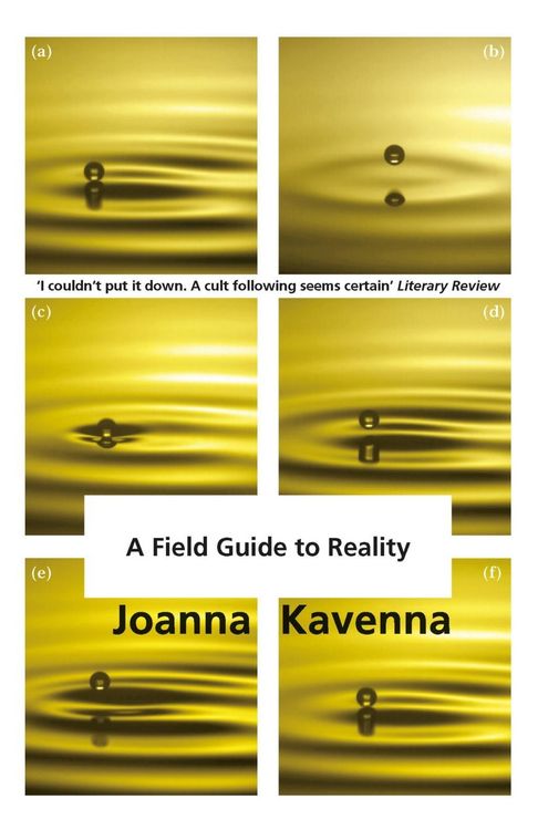 Produktbild: A Field Guide to Reality