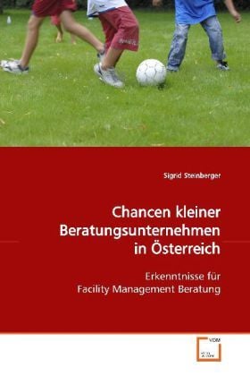 Produktbild: Steinberger, S: Chancen kleiner Beratungsunternehmen in &Ouml;ste