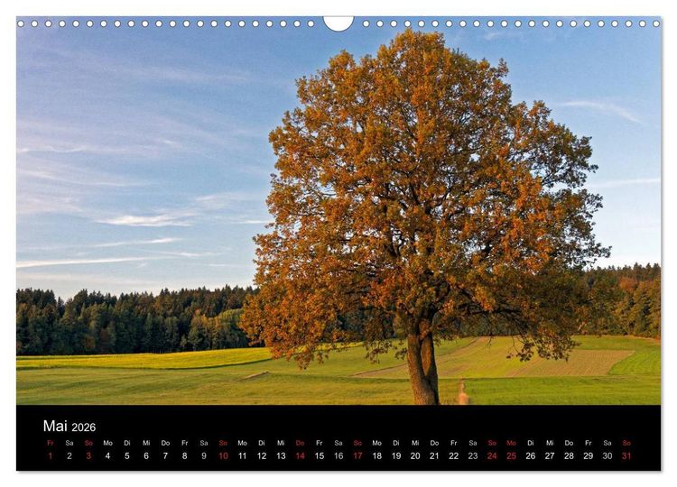 Produktbild: Herbst im Nationalpark Bayerischer Wald (Wandkalender 2026 DIN A3 quer), CALVENDO Monatskalender
