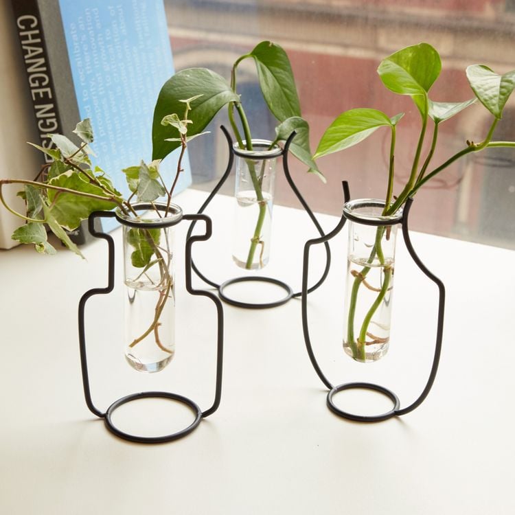 Produktbild: Geo Vase Propagation Station