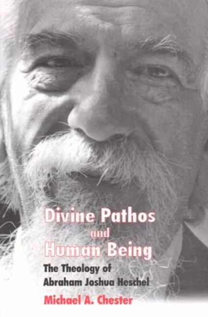 Produktbild: Divine Pathos and Human Being