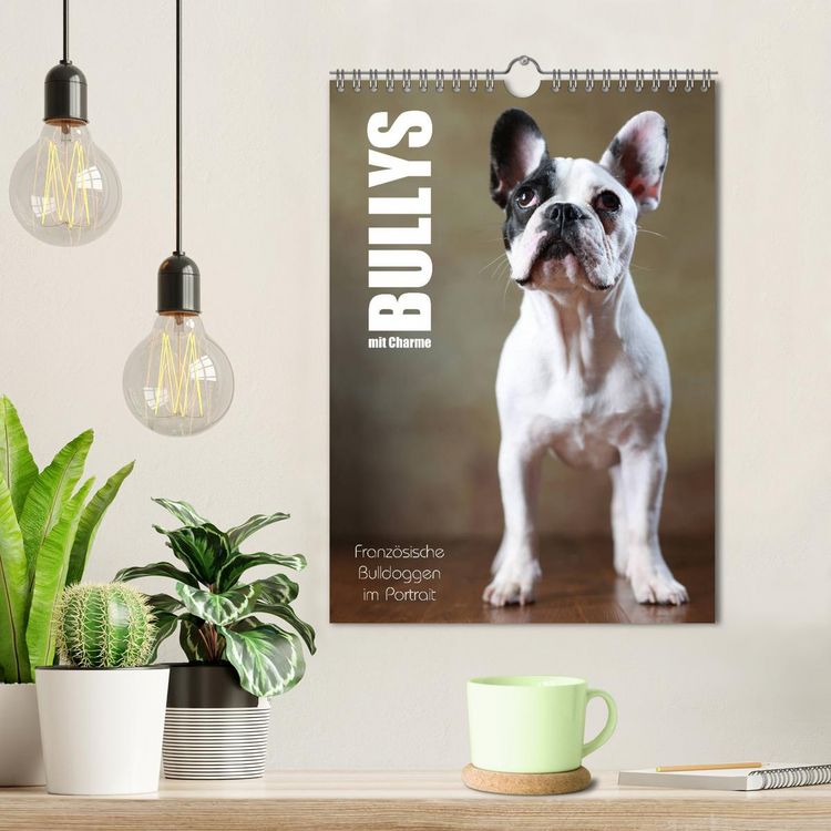 Produktbild: Bullys mit Charme - Franz&ouml;sische Bulldoggen im Portrait (Wandkalender 2026 DIN A4 hoch), CALVENDO Monatskalender