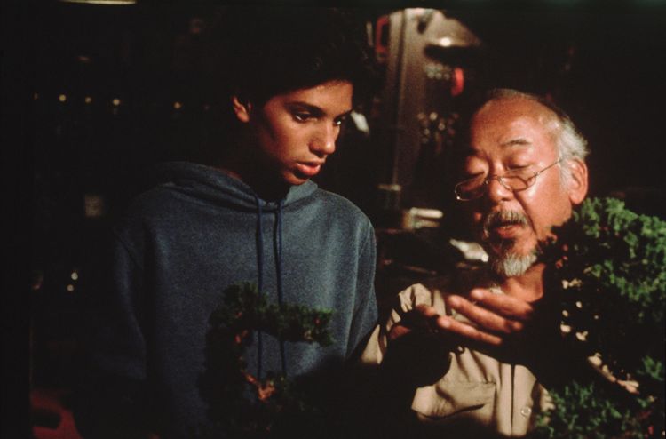Produktbild: Karate Kid 1