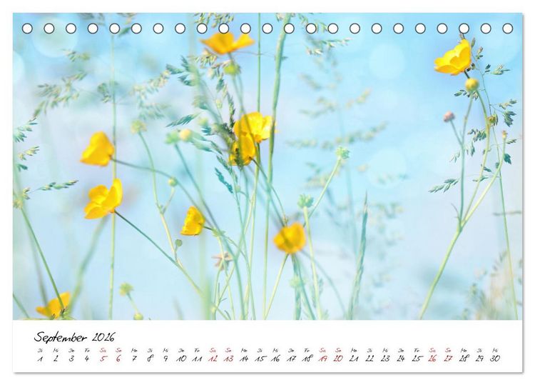 Produktbild: Sch&ouml;nheiten in freier Natur (Tischkalender 2026 DIN A5 quer), CALVENDO Monatskalender