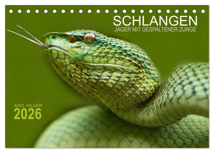 Produktbild: SCHLANGEN. J&Auml;GER MIT GESPALTENER ZUNGE (Tischkalender 2026 DIN A5 quer), CALVENDO Monatskalender