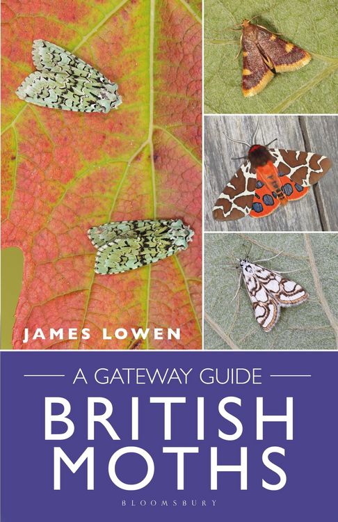 Produktbild: Lowen, J: British Moths