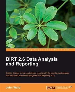 Produktbild: BIRT 2.6 Data Analysis and Reporting