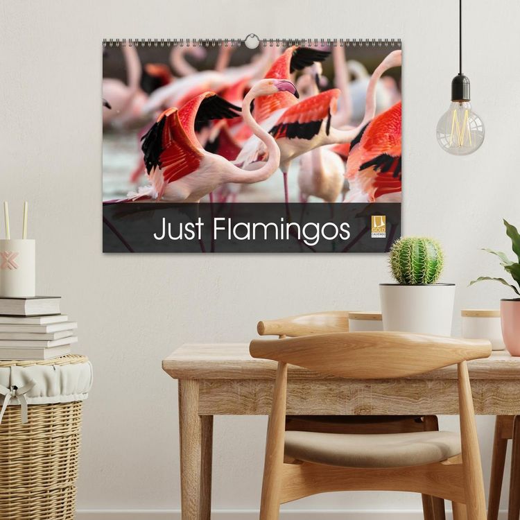 Produktbild: Just Flamingos (Wall Calendar 2026 DIN A3 landscape), CALVENDO 12 Month Wall Calendar