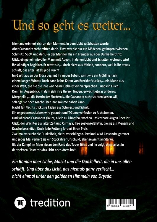 Produktbild: Im Auge des Drachens: Der Ruf der Finsternis